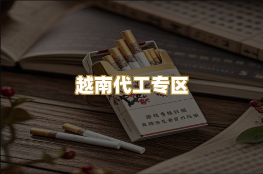 越南代工专区